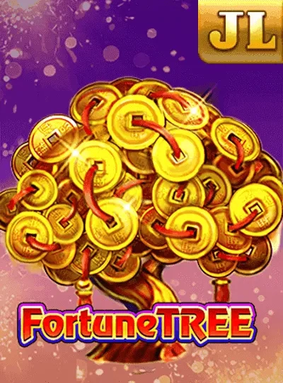 tnt555 tnt555
